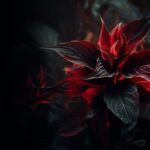 blog skin zinest 02 1200x800 1